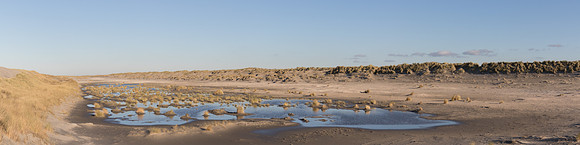 Ultra-Wide Landscapes - Dunes, the Netherlands